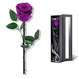 Purple Flowers for Delivery Prime, Preserved Purple Roses Flower Gifts for Women, Real Roses Single Rose Gifts for Her, Mom Birthday Gifts from Daughter, Valentines Flowers