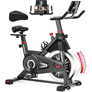 DMASUN Heimtrainer Fahrrad mit Verstellbarem Widerstand, Leises Hometrainer Fahrrad mit Verbessertem LCD-Monitor, Bequemer Sitz & Sitzbezug, Indoor Cycling Bike für Kardiotraining zu Hause, Bis 160KG