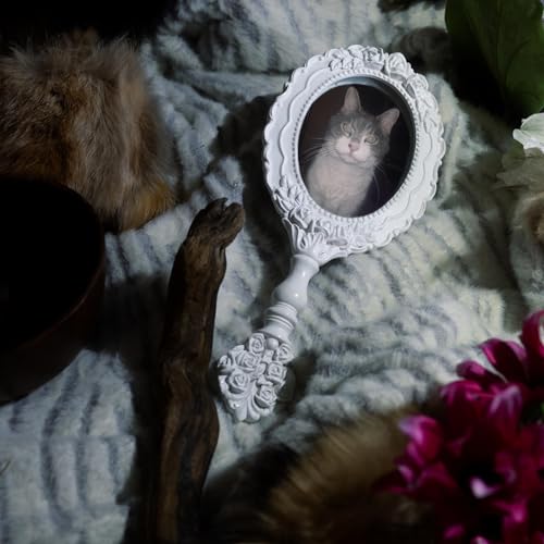 Un conte inattendu d&rsquo;une fille et son chat