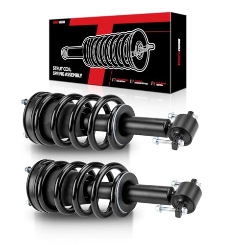 Torchbeam Front Complete Strut Shock Absorber Assembly w/Coil Spring,Replace 239112,139104
