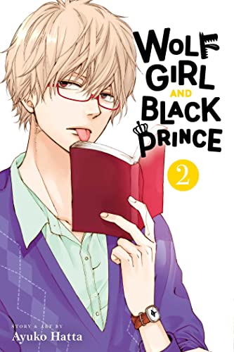 Viz Media Wolf Girl and Black Prince, Vol. 2 (2)