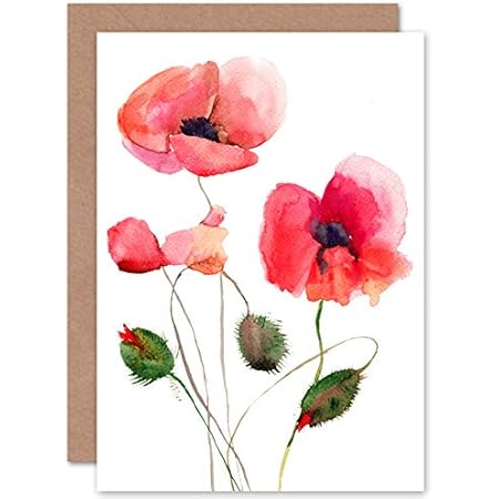 Flower Lotus Painting Greetings Card Plus Envelope Blank
