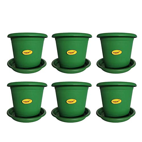 Synergy Plast Garden Balcony Flowering Planter with Bottom Plate/Tray (12 Inch, Green) (B082R8KTMR) Amazon Price History, Amazon Price Tracker
