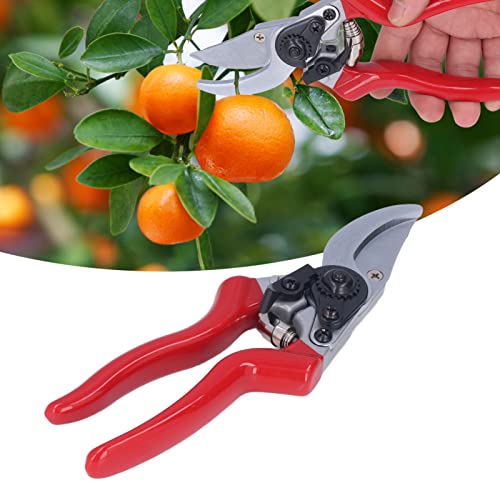 Tesouras de poda, tesoura de ramo ergonômico de alta eficiência Economia de mão de obra para o pátio