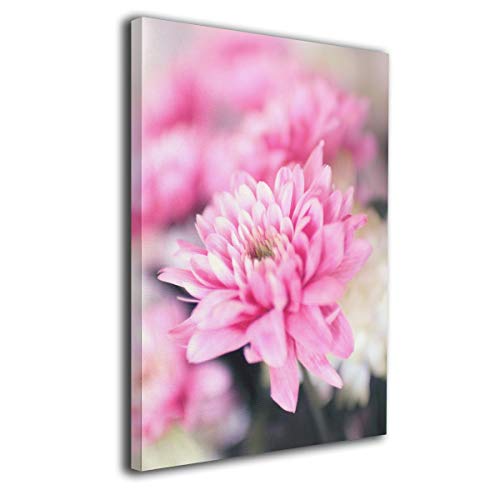 Tour Edge Hot Launch E525 Gap Wedge 46* (Graphite UST Helium Black Senior, Left) 2025