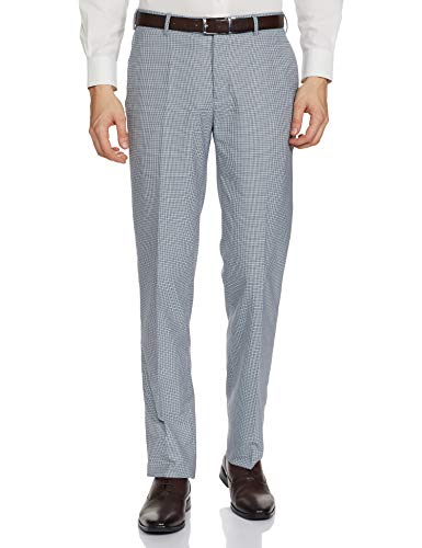 Image of Raymond Men Pants