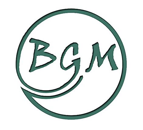 18 Pack BGM Diet Ginger Soda (Pack of 18) 3 18 Pack BGM Diet Ginger Soda (Pack of 18)