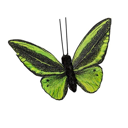 Berfutall- Feather Butterfly Decorations Set of 6 Vibrant Multi Colored Craft Butterflies on Clip .Party Spring Home Decor Floral Pics.St.Patrick'sDay