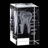 3D Crystal Human Tooth Model - Cubic Laser Etched Anatomical Tooth Model for Home and Office Decoration Dentists Gifts