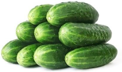 50 Straight Eight Cucumber Seeds - Heirloom Non-GMO USA Grown Vegetable Seeds for Planting - Pickling and Slicing Cucumber