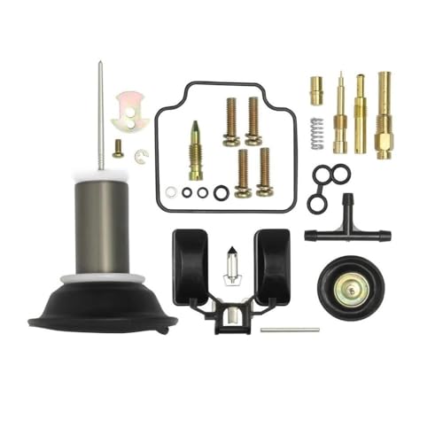 PD24J 22mm GY6 125CC 150CC Motorcycle Carburetor Repair Kit Rebuild