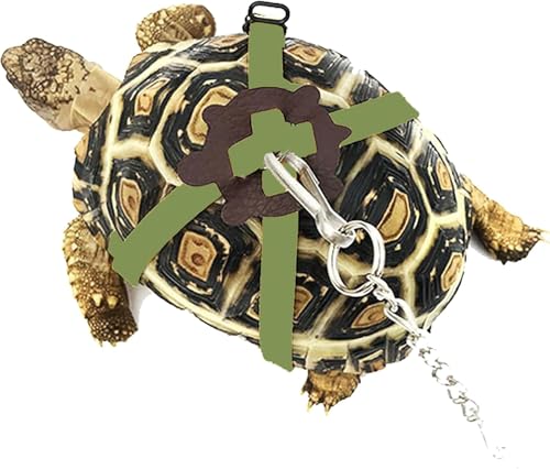 Adjustable Turtle Harness Leash Tortoise Walking Rope for Turtle Supplies Control Rope for Outdoor Walking Training (Green)