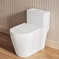 Casta Diva Elongated One Piece Toilet with 17" ADA Comfort Chair Height Seat Compact Toilet for Bathroom Dual Flush 1.1/1.6GPF, 12'' Rough-in, High Efficiency Flush, Standard White Toilet Bowl
