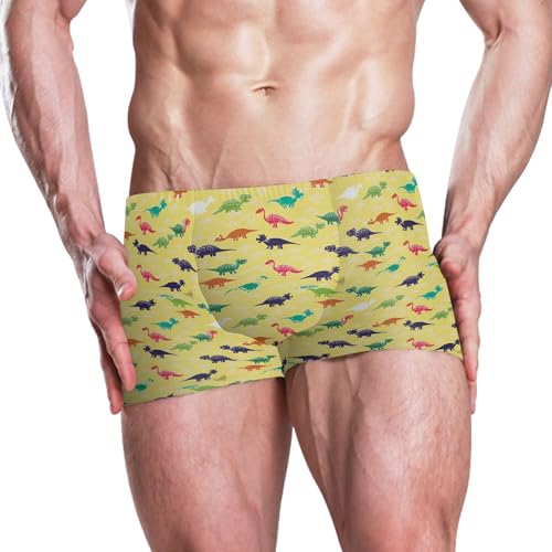 Dinosaur Dino Mens Swim Trunk Swimwear Bathing Suit Swim Brief Square Leg Board Short S B04052522
