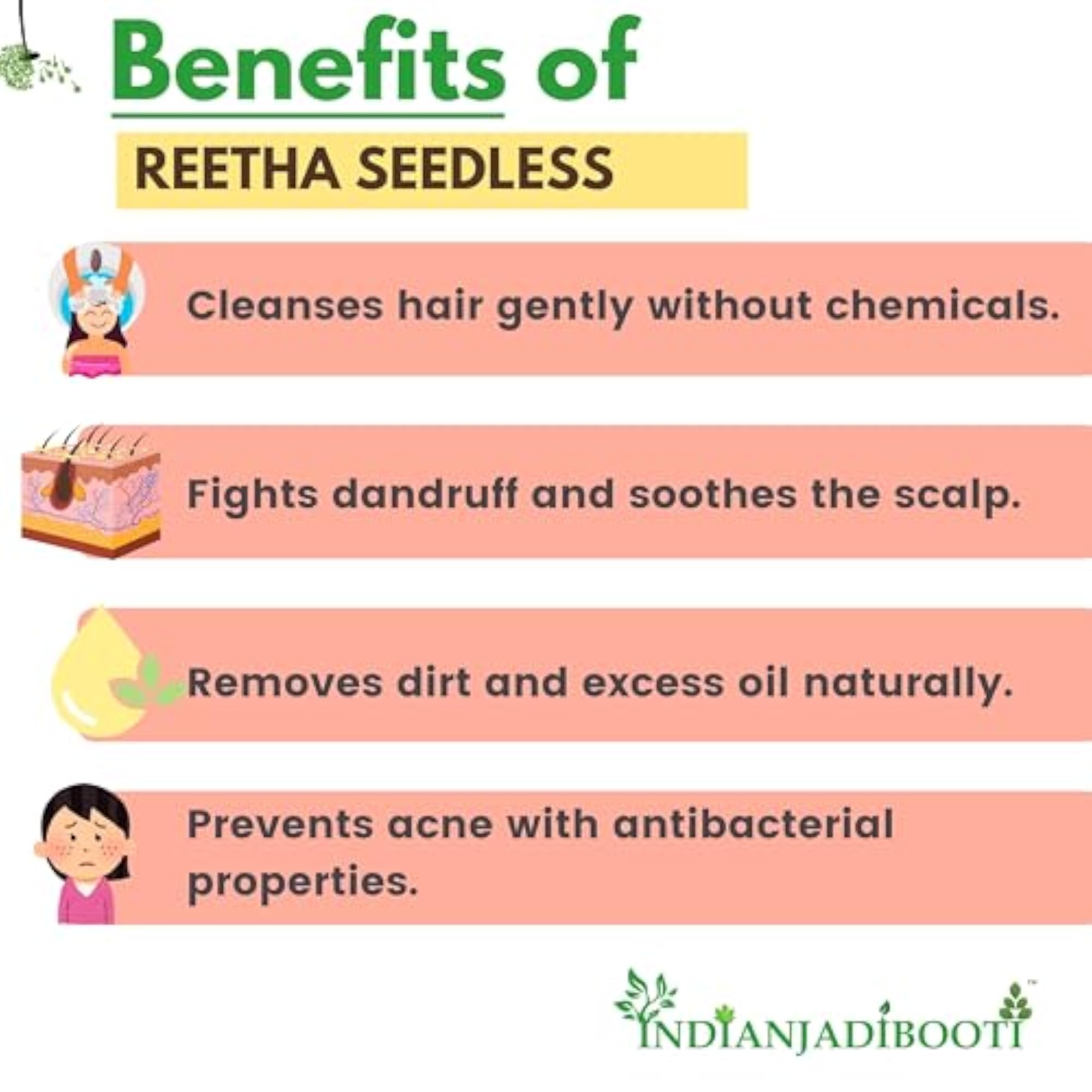 Reetha Seedless Soap Nut for Natural Cleaning