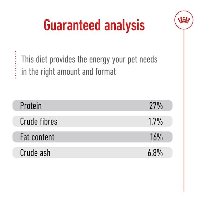 Royal Canin Mini Adult | 2 kg | Alleinfuttermittel für Hunde Kleiner Rassen | Omega -3 Fettsäuren für Haut und Fell | Abgestimmter Energiegehalt und angepasste Krokettengröße
