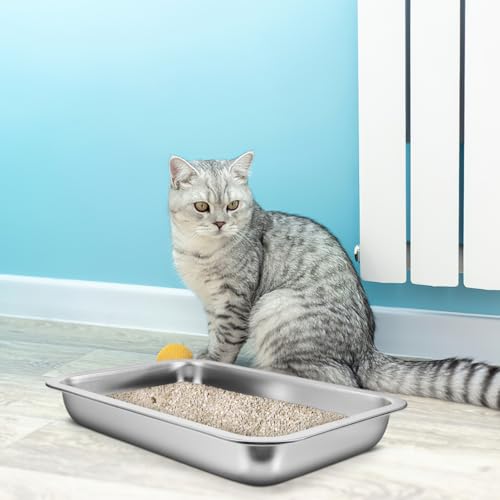 Arenero de acero inoxidable para gatos, tamaño pequeño miniatura 3