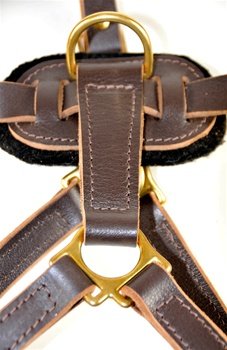 Dean & Tyler Victory Brass Hardware Dog Harness #TOP10