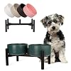 Raised Ceramic Dog Bowl Set - Elevated Double Dishes with Stainless Steel Stand - Food and Water Bowls for Small to Medium Dogs - Each Holds 3.5 Cups (29.57 fl oz) - Green