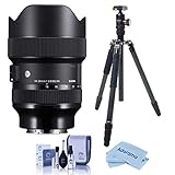 Sigma 14-24mm f/2.8 DG DN Art Lens for Sony E-Mount - Bundle with FotoPro X-Go Max Carbon Fiber...