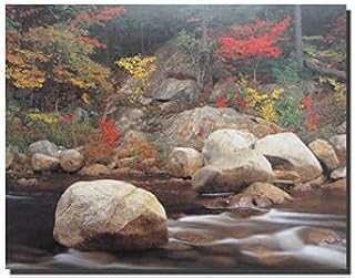 Mountains River Trees Landscapes Wall Decor Art Print Poster (16x20)