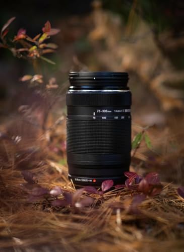 Image of Olympus OM SYSTEM MSC ED-M 75 to 300mm II f4.8-6.7 Zoom Lens