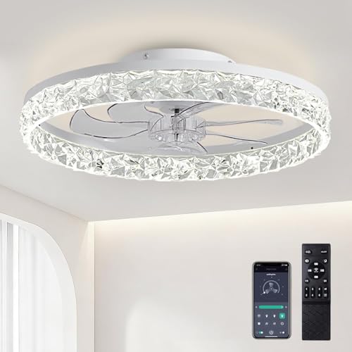 RLMIEL 50CM Ventilateur de Plafond Silencieux,DC Réversible Ventilateur Plafond amazon et 6 Vitesses,Dimmable LED Plafonnier Ventilateur Chambre et...