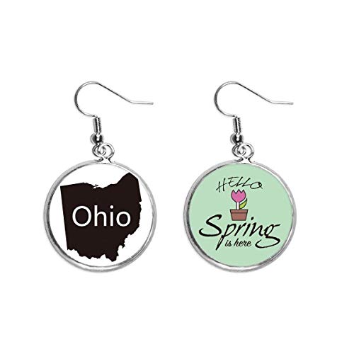 Pendientes de Ohio ligeros que no pesan con silueta de mapa de USA joyas