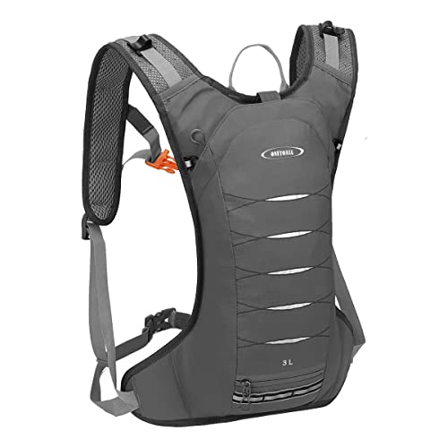 Foto von LOCAL LION Fahrradrucksack 3L Trinkrucksack Laufrucksack Herren Ultraleicht für Radsport Laufen Joggen Wandern Camping Bergsteigen und Marathon grau