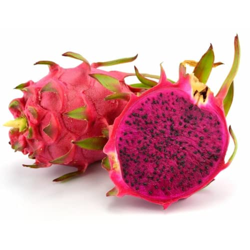 Fresh Dragon Fruit Pitaya x 5 Units | Red Flesh | Exotic Tropical Fruit | Sweet & Juicy Superfood | Ready to Eat | Premium Quality