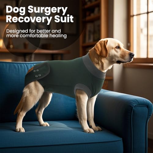Image of IDOMIK Dog Recovery Suit for Neuter Spay,Anti-Licking Dog Surgical Bodysuit
