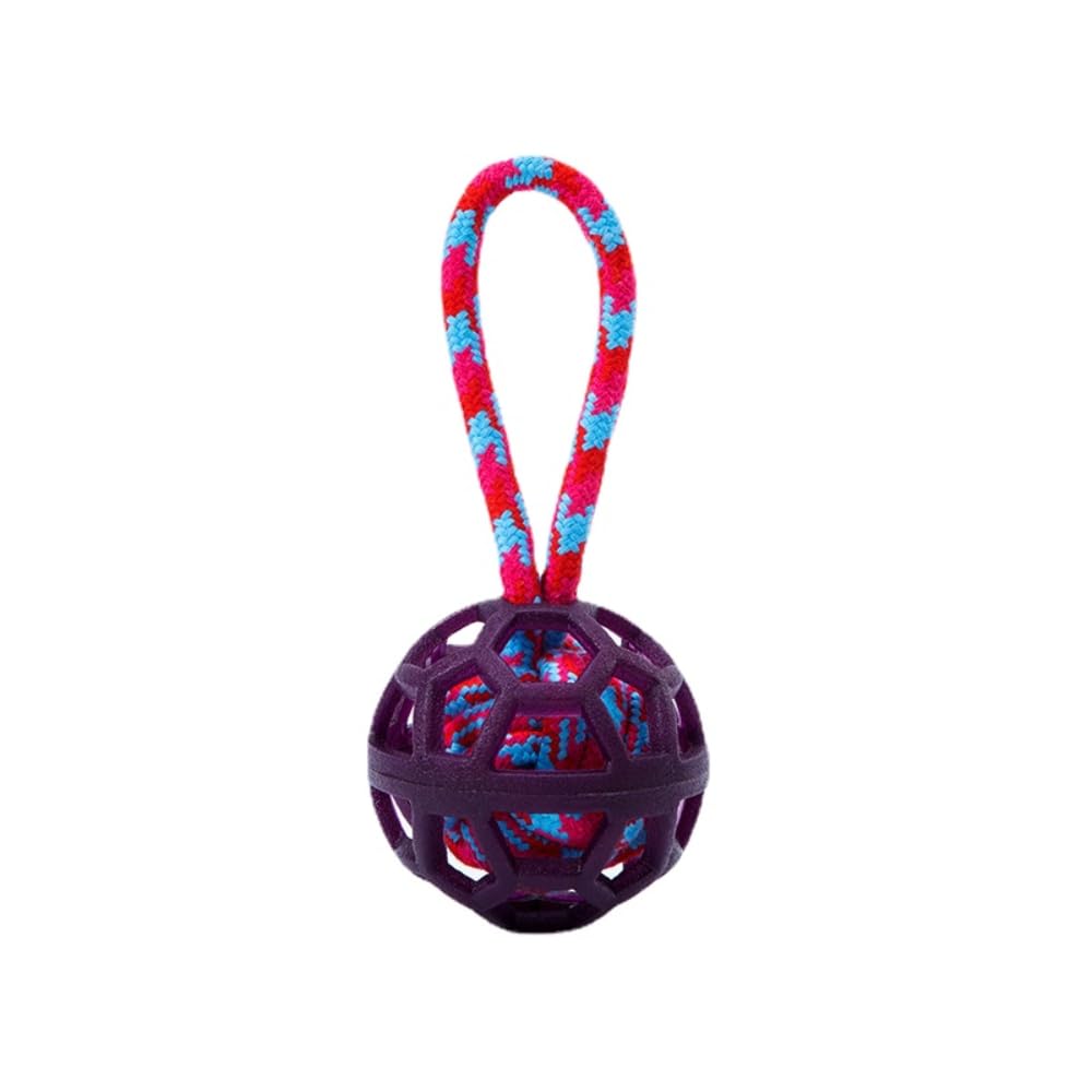 VONCYKI Bite Resistant Dog Toys Balls, Pet Hollow Toys Balls, Teething Training Pet Dog Toys (2,Purple)