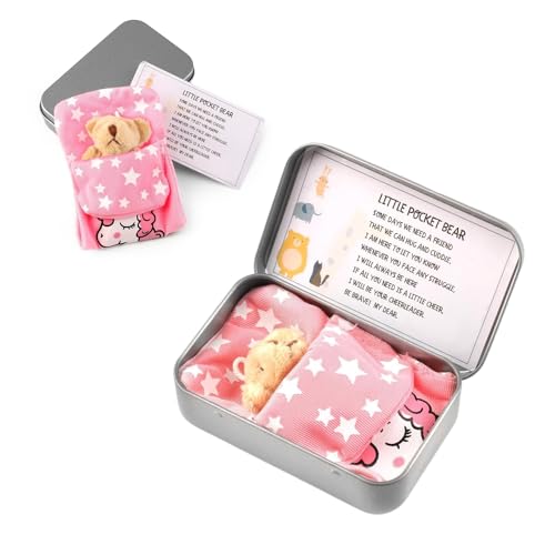 Novstuf Little Pocket Bear Hug, Mini Teddy Bear in a Tin Box Plush Toy Stuffed Animal Bear Cute Doll Decoration Key Chain Hug Love Token Christmas Birthday Graduation Gifts for Children Women Friend - Image 7