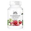 Veenbessencapsules – Veenbessenextract 25 keer geconcentreerd – hoge dosering – 90 capsules – veganistisch