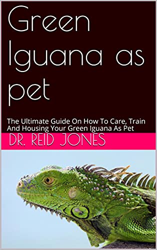 pet store iguana