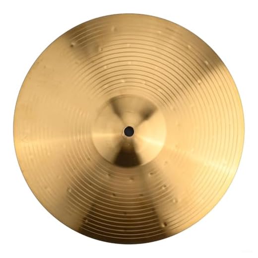 TDCuizent Juego de platillos musicales de latón para instrumentos de percusión, platillos profesionales Splash Crash Hi-Hat, múltiples opciones de tamaño para batería, banda de práctica (10 pulgadas)