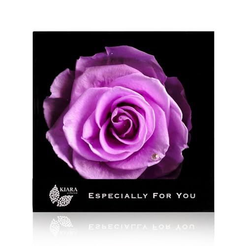 vU[uht[ IPFA KIARA GXyV[{bNX KN   a v[g j LO ސEj (p[v/2AWXg)