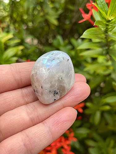 Image of GAF TREASURES 1 /2 LB Rainbow Moonstone Tumbled Stones, Polished Rainbow Moonstone Gemstone, Rainbow Moonstone Healing Crystals (Rainbow Moonstone)