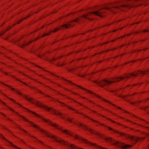 Brown Sheep Nature Spun Worsted N46 Red Fox