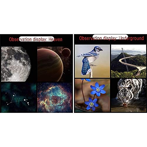 Telescopio portátil refractor para astronomía con trípode miniatura 2