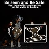HEELE Hundegeschirr, Brustgeschirre für Hunde, Laufgeschirre Hund mit abschließbarem Schnappverschluss, einstellbare reflektierende Hundegeschirre, Offen am Hals, Anti Zug Dog Harness, Khaki, M
