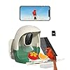 Smart Bird Feeder Camera Solar Powered Bird Watching Camera AI Identify Bird Species 2K HD Live View and Instant Notification Ideal Gift for Bird Loverwith 32G Card