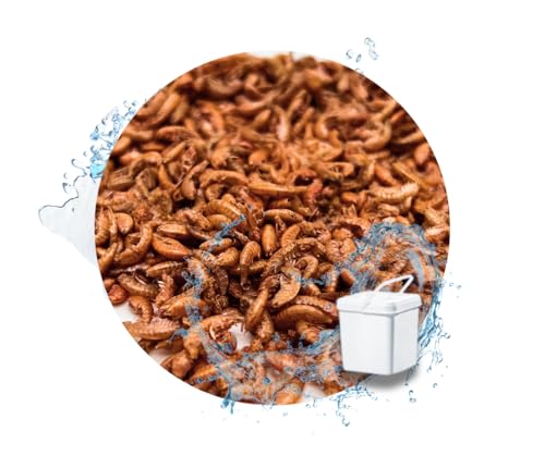 Warnick´s Tierfutterservice Gammarus - Bachflohkrebse, Koifutter, Reptilienfutter 5.000ml im praktischen Eimer