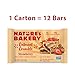 Nature’s Bakery Oatmeal Crumble Bars, Strawberry, Real Fruit, Vegan, Non-GMO, Breakfast bar, 1 Box With 12 Twin Packs (12 Twin Packs)