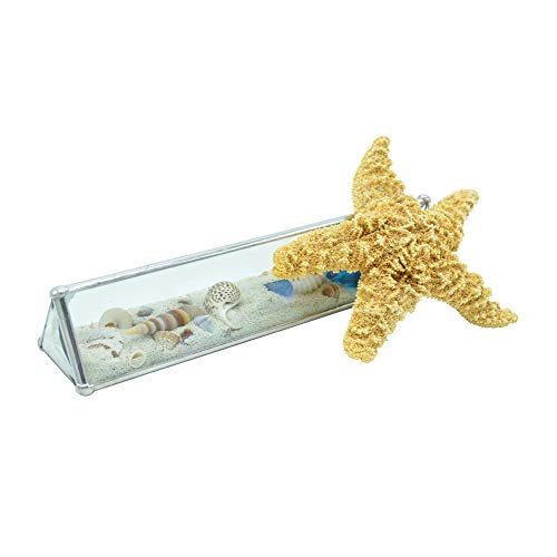 Christina Home Designs Beach Kaleidoscopes (Tent Shape 10 Inch) Beach Home Decor #TOP5