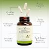 Herbal Roots Mood Duo, Organic St. John's Wort and Ashwagandha Supplement, Natural Mood Support, Non-GMO
