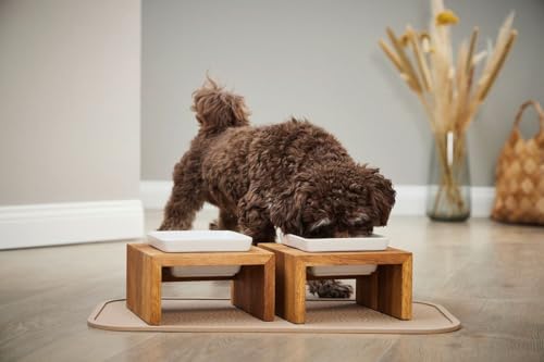 Wolters Cat & Dog Écuelle Meshidai True