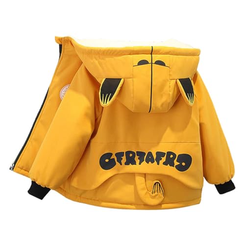 yH~ԁz[LANWHO] LbY {AWPbg  N t[ht WbvAbv   h ۉ y g jp 90-140 H~ ʉ ʊw o AE^[