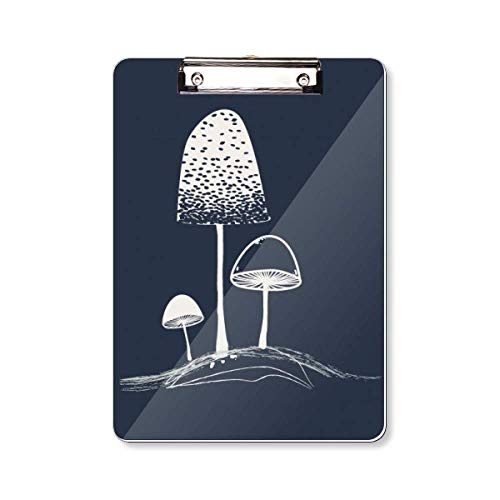 Plaque arrière A4 champignon rigide contre les feuilles volantes et froissées