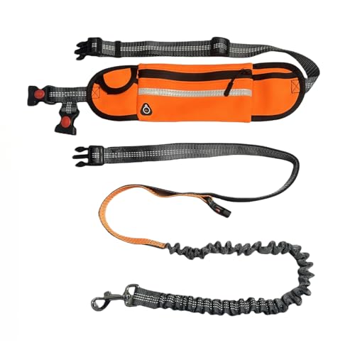 FJ Four Joys Hands Free Dog Leash with Zipper Pouch, Waist Leash for Dog Walking with Shock Absorbing Bungee for Walking, Jogging and Running (Orange)